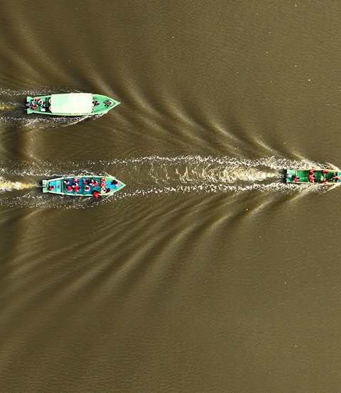 mobileImage